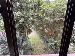 Balmoral Luck (D10), Condominium #559148021